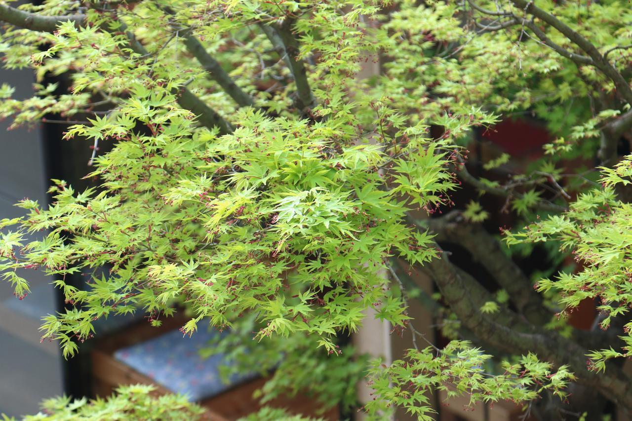 Okaya Ryokan Okitsu Bagian luar foto